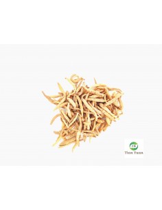 Tai Zi Shen - Racine de Pseudostellaria