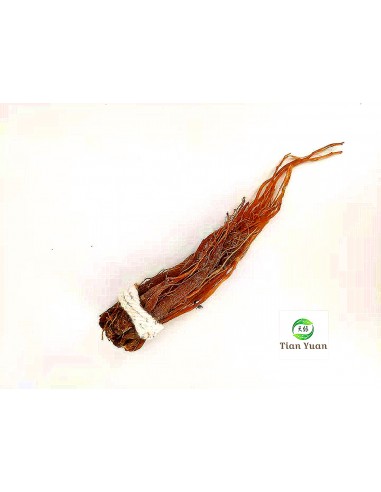 Ren Shen Xu - Barbe de Ginseng rouge