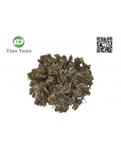 Ai Ye - Armoise Argienne