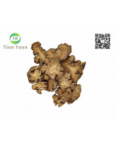 Chuan Xiong - Livèche Striée