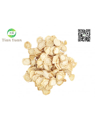 Ren Shen - Ginseng blanc