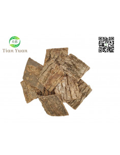 Du Zhong - Écorce d'Eucommia