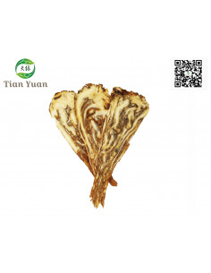 Dang Gui - Angélique de Chine