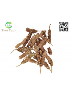 Xia Ku Cao - Epine de prunelle