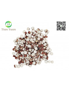 Qian Shi - Graine d’Euryale