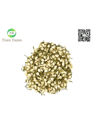 Mo Li Hua - Fleur de Jasmin