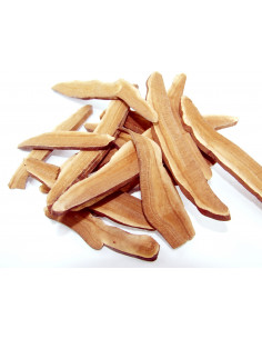 Ling Zhi -  Champignon de l'immortalité 2