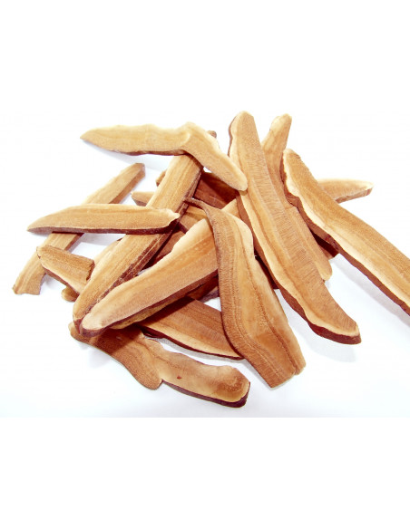 Ling Zhi -  Champignon de l'immortalité