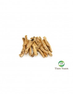 Dang Shen -  Racine de Codonopsis