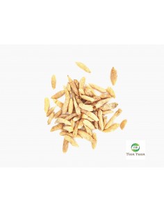 Mai Men Dong - Blé d'hiver luxuriant