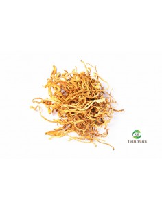 Chong Cao hua -  Champignon Cordyceps